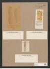 Navicula incurvata [splendida var. incurvata] Rbh. (de-Toni-Nr.: Genus 1, Species 243) Zeichnungen Sammlung Grunow Nr. 582 (NHMW-BOT-W0366940)
